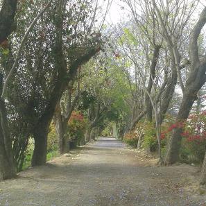 Entrada La Huerta